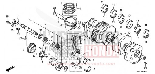 VILEBREQUIN/PISTON CB1100NAK de 2019